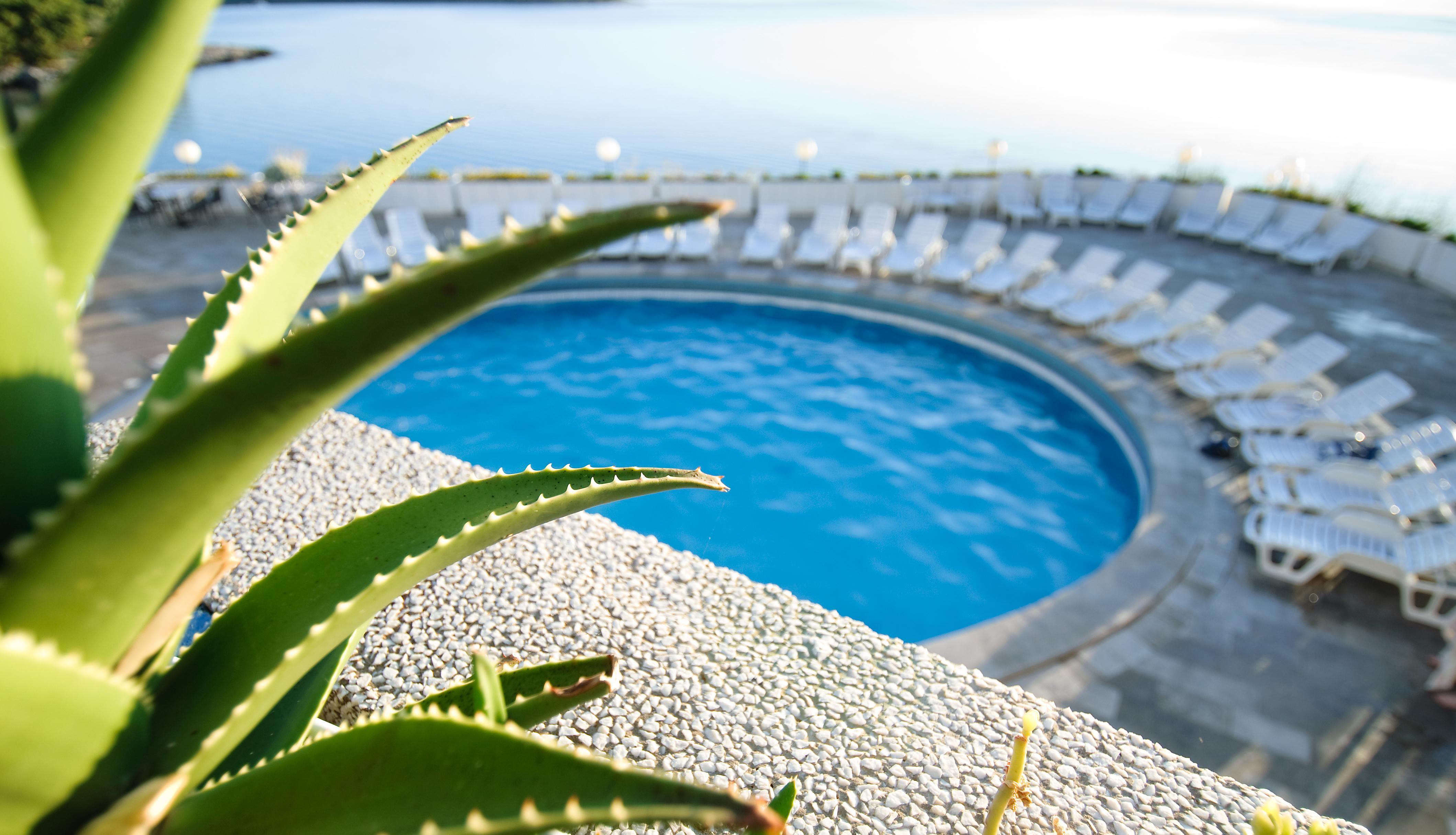Fontana Jelsa (Hvar)